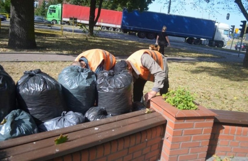 Sprzątanie świata w Malborku. Osadzeni porządkowali teren w okolicy urzędu
