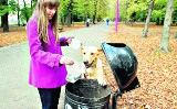 Wrocław: Pojemniki na psie kupy gdzieś zniknęły