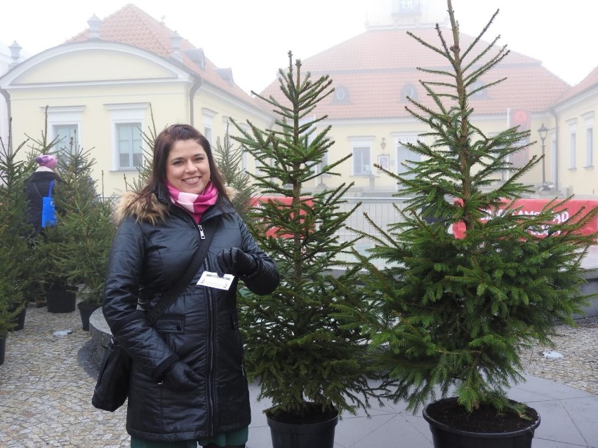 Anna Ciereszko stoi już przy wybranym, naturalnym drzewku