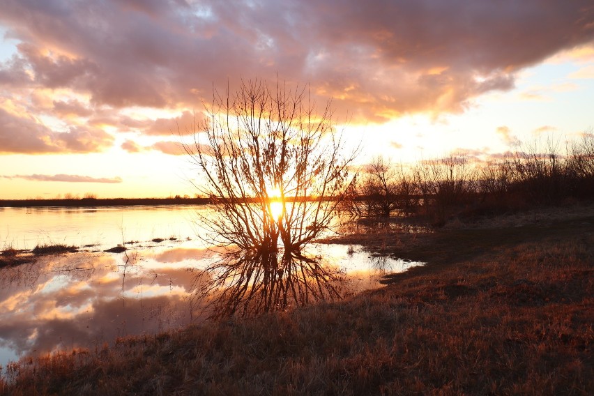 Wiosenne zachody słońca w obiektywie naszego Czytelnika. Zobaczcie malownicze zdjęcia Piotra Sikory [ZDJĘCIA]