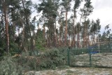 Zakaz wstępu do lasu w miejscowościach Klucze,Chechło, Zalesie Golczowskie, Golczowice i Jaroszowiec