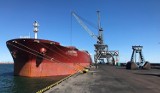 Masowiec Agia Trias przywiózł rekordowy ładunek węgla do Portu Gdańsk