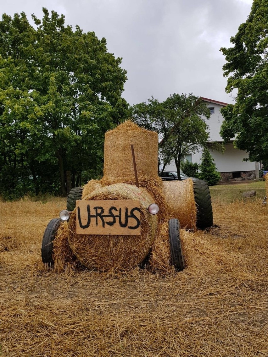 Jak wam się podoba miss Piskarek? Albo chata na kwarantannę?...