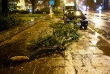 Orkan Grzegorz: Wichury dotarły do Poznania