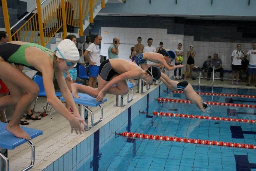 Mistrzostwa w pływaniu w Rudzie Śląskiej: prawie 350 uczestników wzięło udział w turnieju