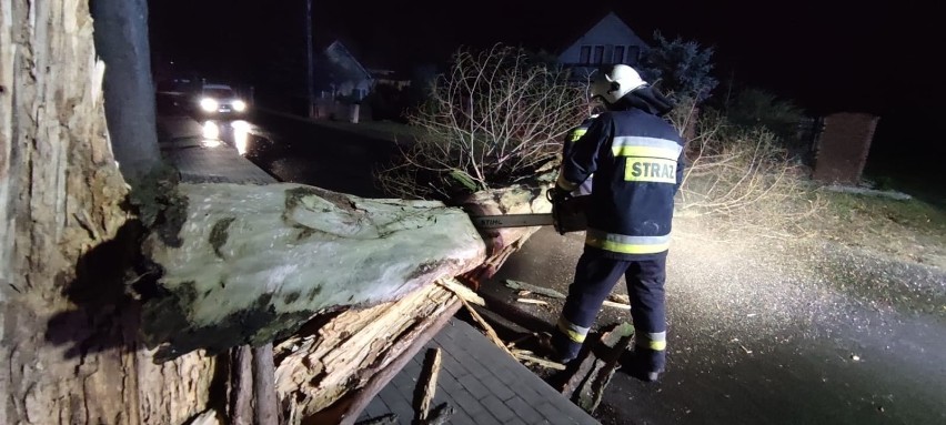 Alert pogodowy dla Lubuskiego. Znów czekają nas silne wiatry