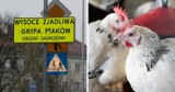 Wysokozjadliwa grypa ptaków na Śląsku (HPAI). Obostrzenia dla hodowców drobiu