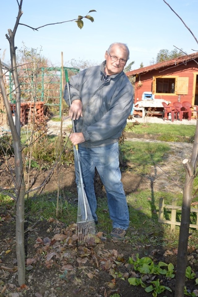 Edward Zelek uważa, że miasto powinno wziąć pod uwagę ocieplający się klimat i liście odbierać dopóki nie spadnie śnieg