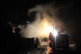 Pożar altanki na Basenowej w Łodzi. Zwęglone zwłoki w altance [ZDJĘCIA]