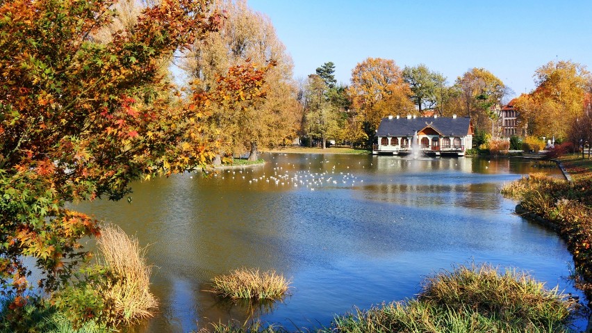 Prawdziwa złota jesień w Legnicy. Tak wyglądał Park Miejski w Legnicy rok i dwa lata temu w październiku! [ZDJĘCIA]