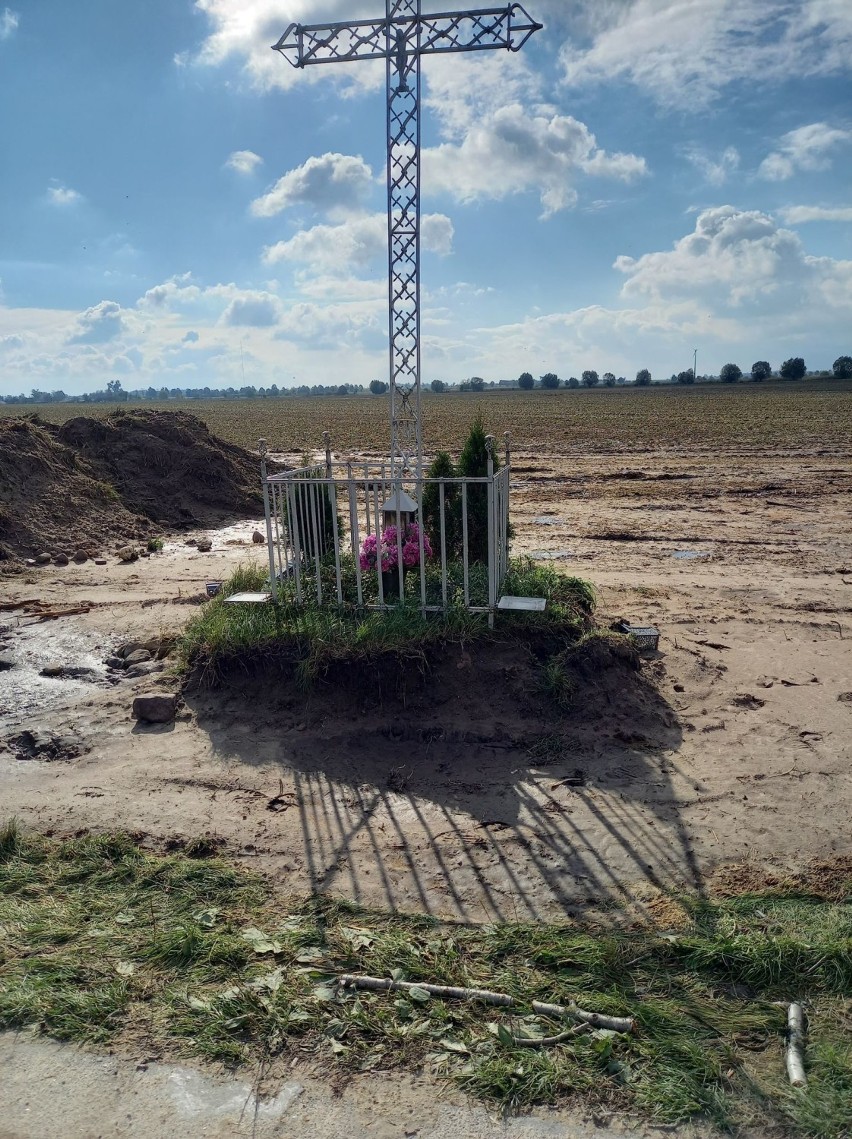 Powiat Gniezno. Wyciął drzewa, naruszył krzyż. Czeka go kara