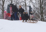 Zimowe szaleństwo w radomskim parku Leśniczówka. Mnóstwo osób na sankach. Zobacz zdjęcia