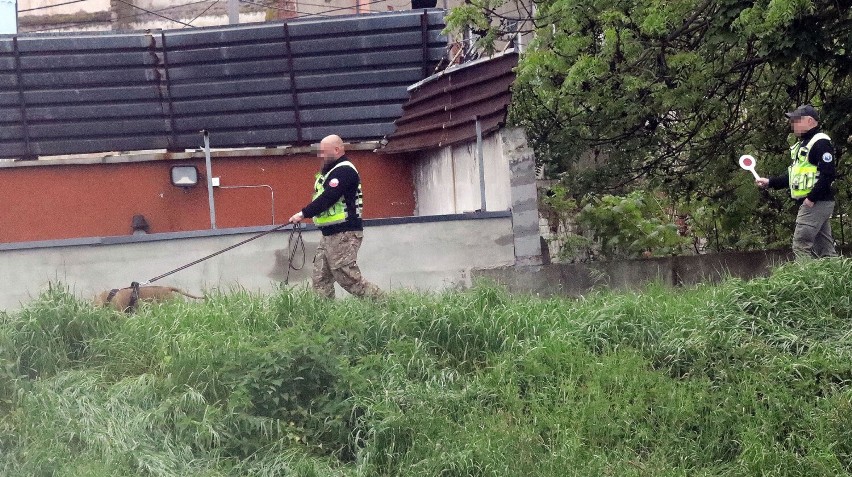 Legnica: Na miejscu gdzie znaleziono zwłoki trwają czynności z psem policyjnym, zdjęcia
