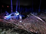 Mercedes uderzył w drzewo. Czy kierowca był pod wpływem alkoholu?