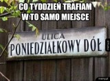 Znowu poniedziałek? MEMY o poniedziałku pomogą ci przez niego przejść na wesoło. Zobacz najlepsze memy!