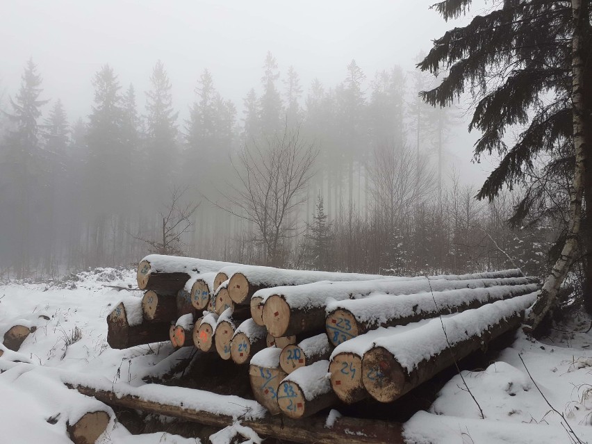 Wałbrzych: Śnieżna wycieczka w okolice góry Chełmiec