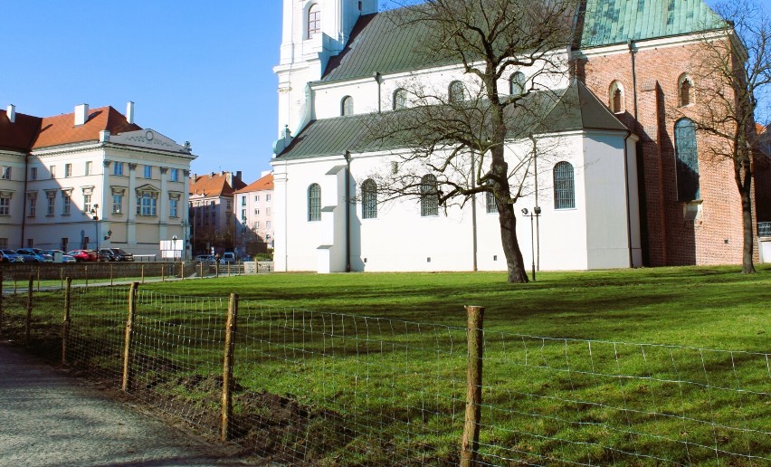 Przy Narodowym Sanktuarium w Kaliszu powstanie ogród św....
