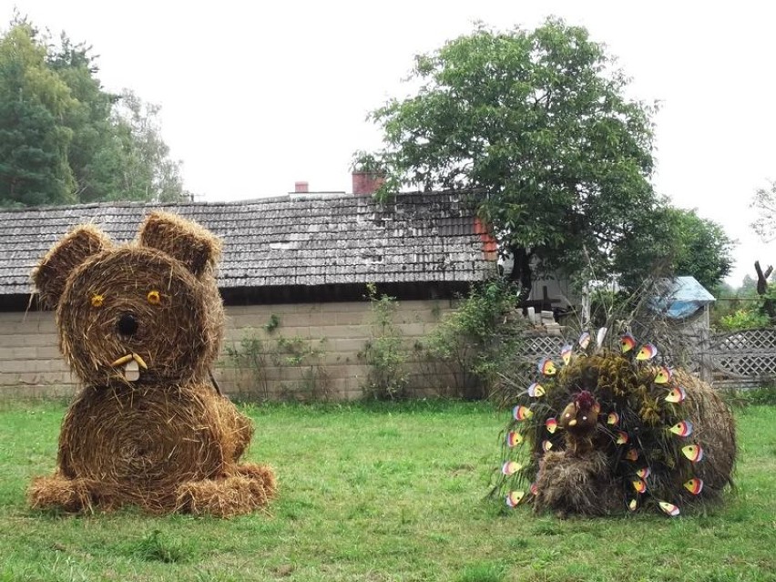 Dożynki w Stefanowicach. "Historia i nowoczesność 2014. To święto plonów całej gminy Zbąszyń [ZDJĘCIA]