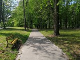 Ostre cięcia w Sandomierzu! Nie będzie odnowy Parku Miejskiego, zakupu nowych autobusów, przebudowy biblioteki i wielu innych [LISTA] 