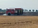 Goślinowo. Pożar na polu. Interweniowała straż