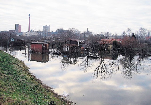 Ogródki przy Bałtyckiej pod wodą. Po podniesieniu drogi woda przez jezdnię się nie przelała