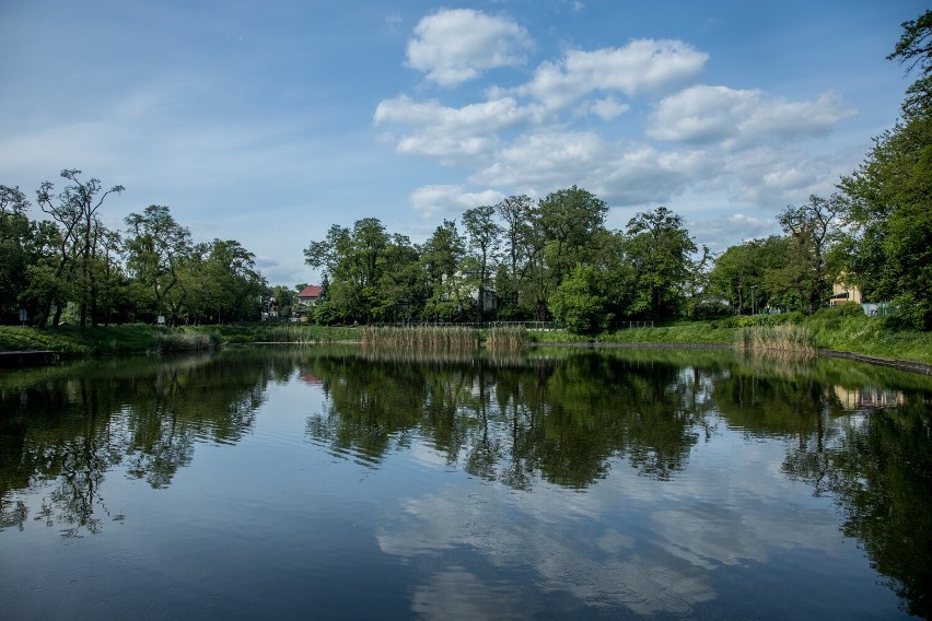 Park Stawy Cietrzewia powstał ze starych glinianek