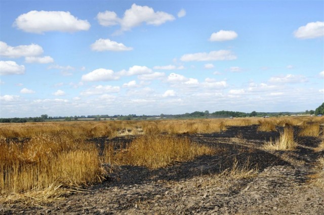 Spłonęło ponad 7 hektarów jęczmienia