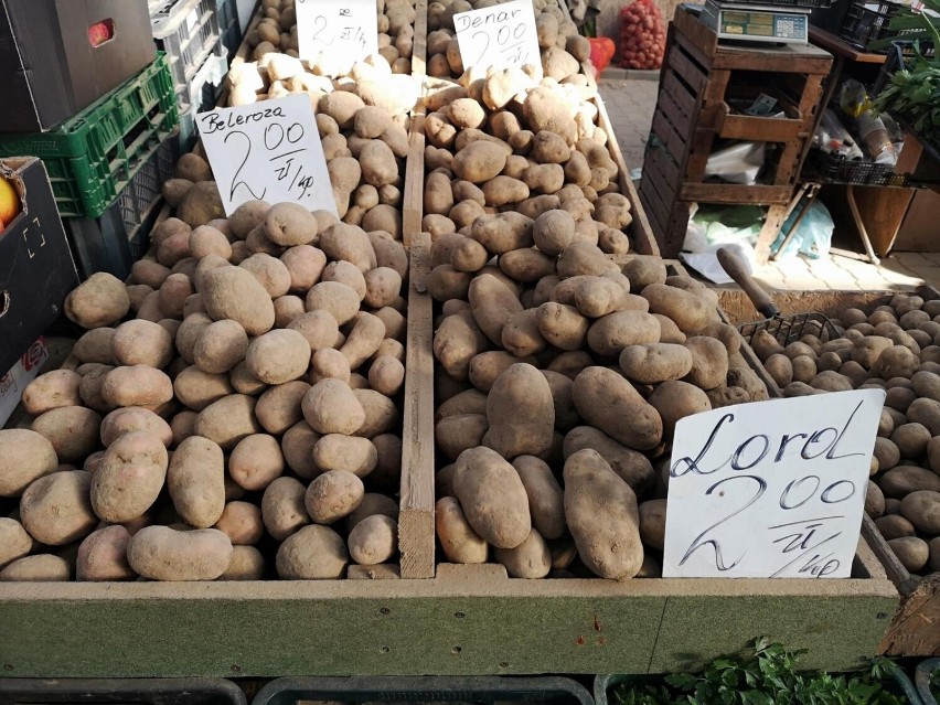 Coraz mniej rolników w Polsce uprawia ziemniaki. Za kilogram możemy płacić coraz więcej. Ceny na targowiskach i w skupie
