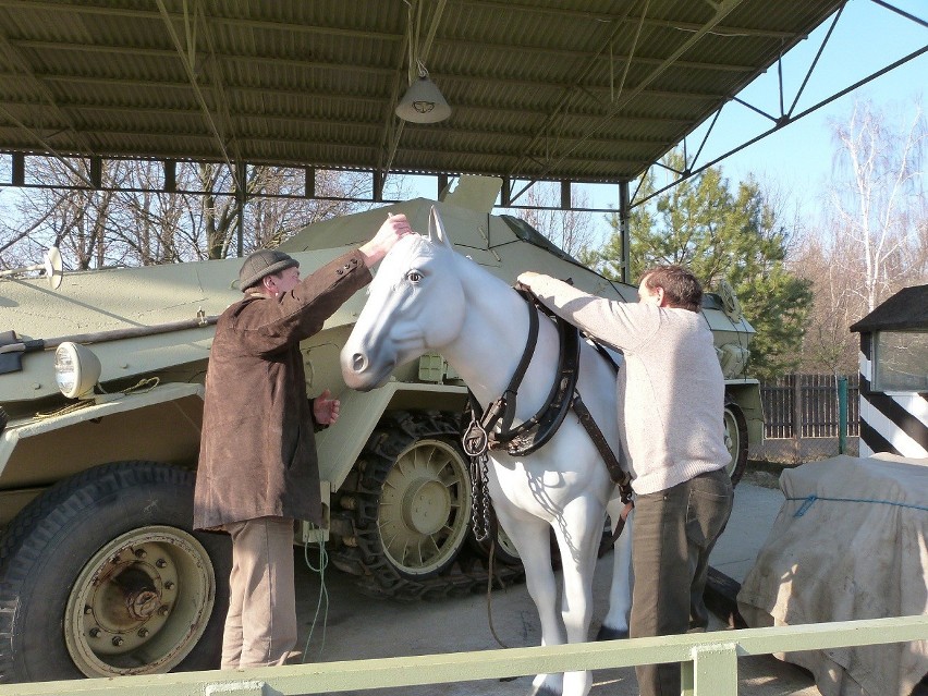 Koń Skałek zamieszkał w Grotach Nagórzyckich