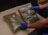 Policjanci znaleźli 3 kilogramy dopalaczy [FILM, ZDJĘCIA]