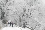 Pogoda w Łodzi i regionie na piątek 12 stycznia. Sprawdź prognozę pogody dla Polski