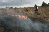 Pożary traw w powiecie kwidzyńskim to plaga! Jest ich już prawie tyle, co w ubiegłym roku