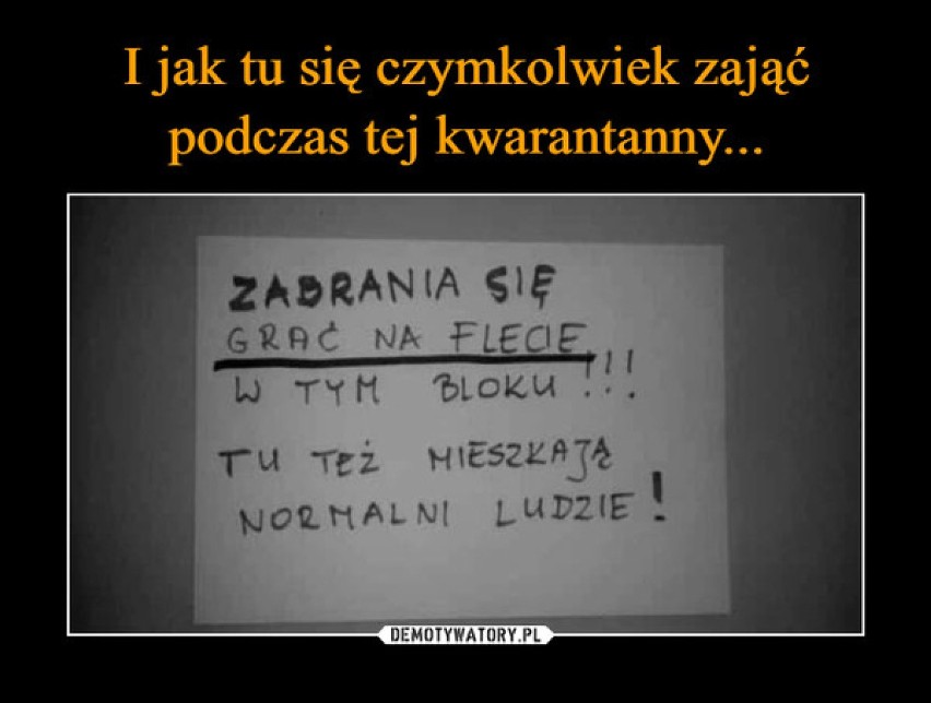 Bardzo dziwne ogłoszenia z klatek schodowych, sklepów, miejsc pracy...  Zobacz!