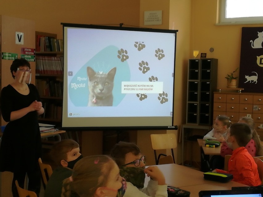 Kaźmierz. Dzieci świętowały Dzień Kota w szkolnej bibliotece [ZDJĘCIA]