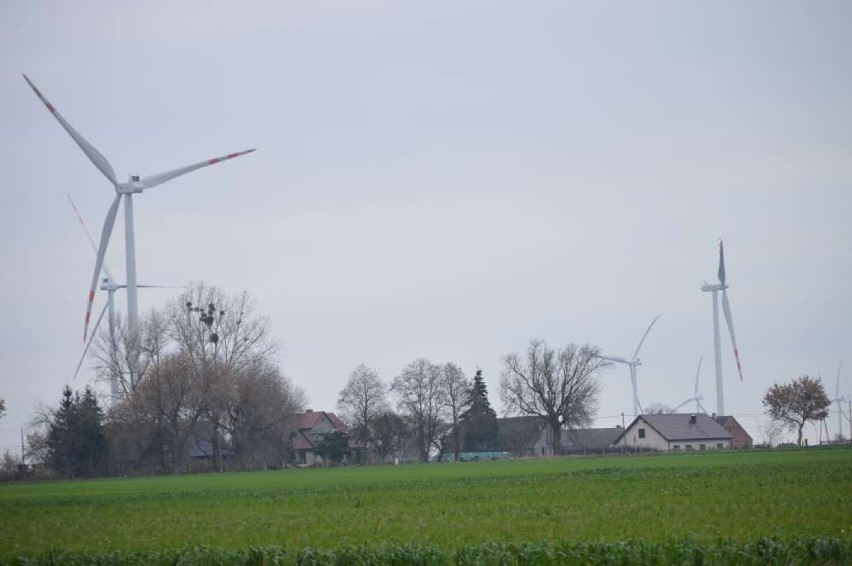 Farma wiatrowa w gminie Budzyń