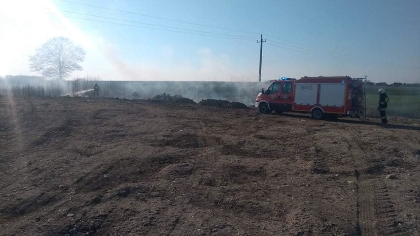 Pożar traw przy ul. Glinickiej w Lubecku 15.04.2019.