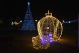 Rakoniewice w świątecznym wystroju. Tak prezentują się bożonarodzeniowe iluminacje