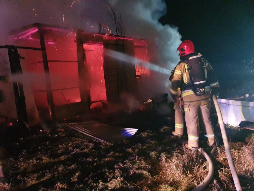 Pożar drewnianego domku pod Wągrowcem. Strażacy znaleźli na miejscu zwęglone szczątki psa 
