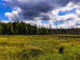 Powstanie kolejna wieża widokowa w powiecie kłodzkim. Tym razem na Torfowisku pod Zieleńcem