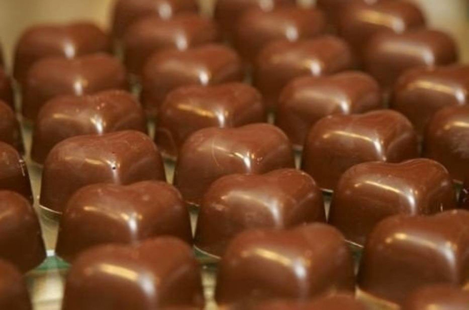 Fabryka czekolady w Nowej Soli przyjmie do pracy ponad 100 osób! To kolejna  ważna inwestycja w naszym mieście | Nowa Sól Nasze Miasto
