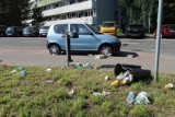 Chorzów: Bardzo zaśmiecony Park Śląski po Fest Festiwalu. Kiedy go wysprzątają? ZDJĘCIA