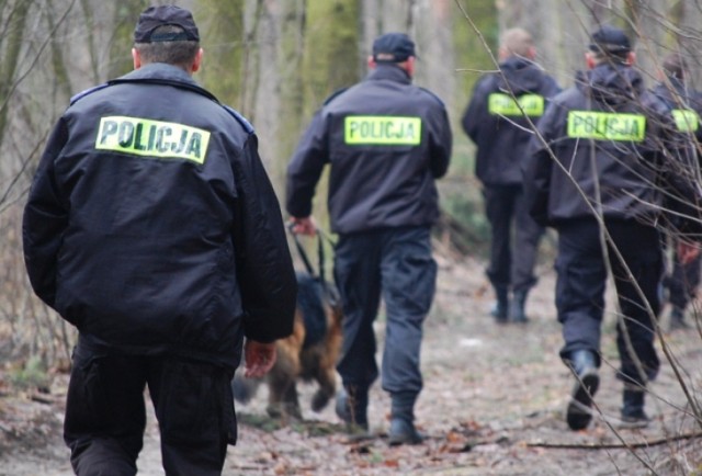 Zaginął, ale szybko go odnaleziono. Pomógł pies tropiący