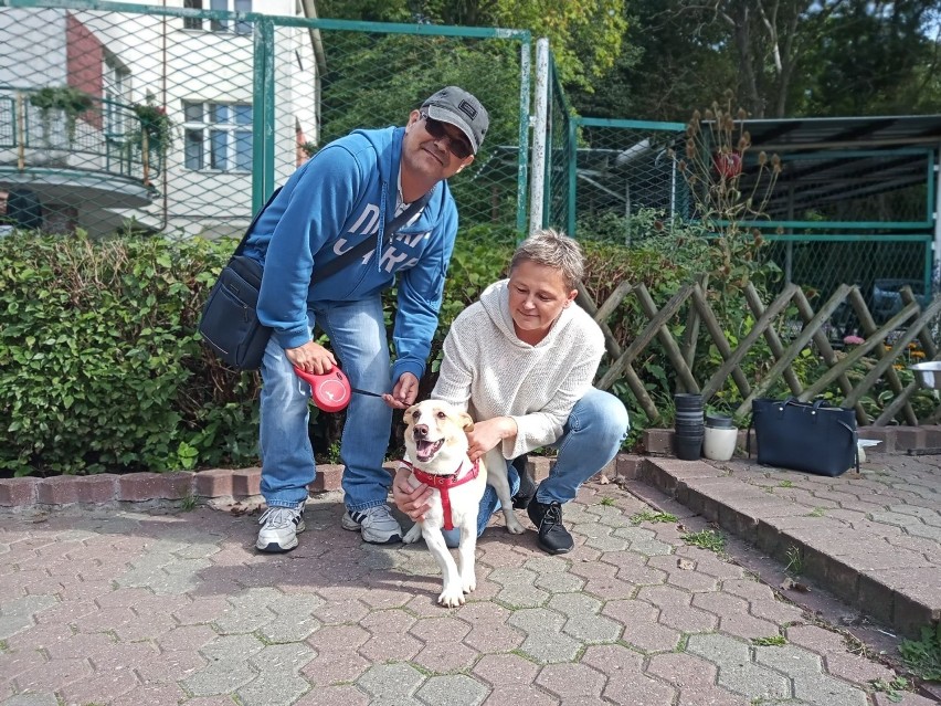 Są dni kiedy szczęście wpada do toruńskiego schroniska dla...