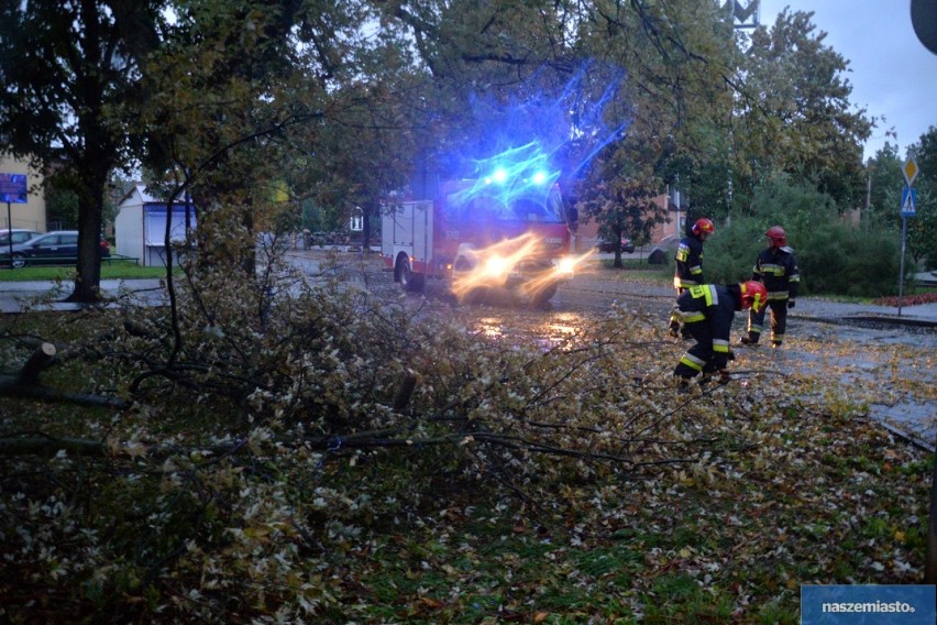 Silny wiatr we Włocławku i powiecie włocławskim. 25 interwencji straży pożarnej [zdjęcia]