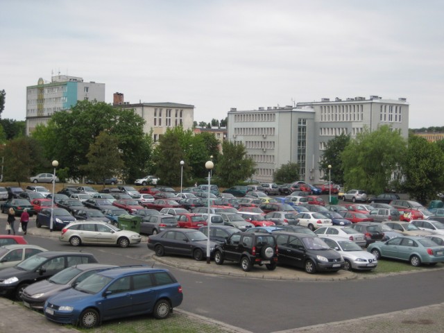Zapełniony samochodami parking pod Zielonogórską Palmiarnią