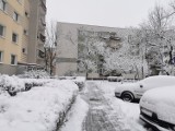 Ataki zimy w Częstochowie. Sypnęło śniegiem w nocy z 20 na 21 stycznia. Na drogach może być ślisko, ale miasto wygląda bajecznie