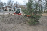 LESZNO. Park Heermanna i park Jana Jonstona zmienią oblicze [ZDJĘCIA]