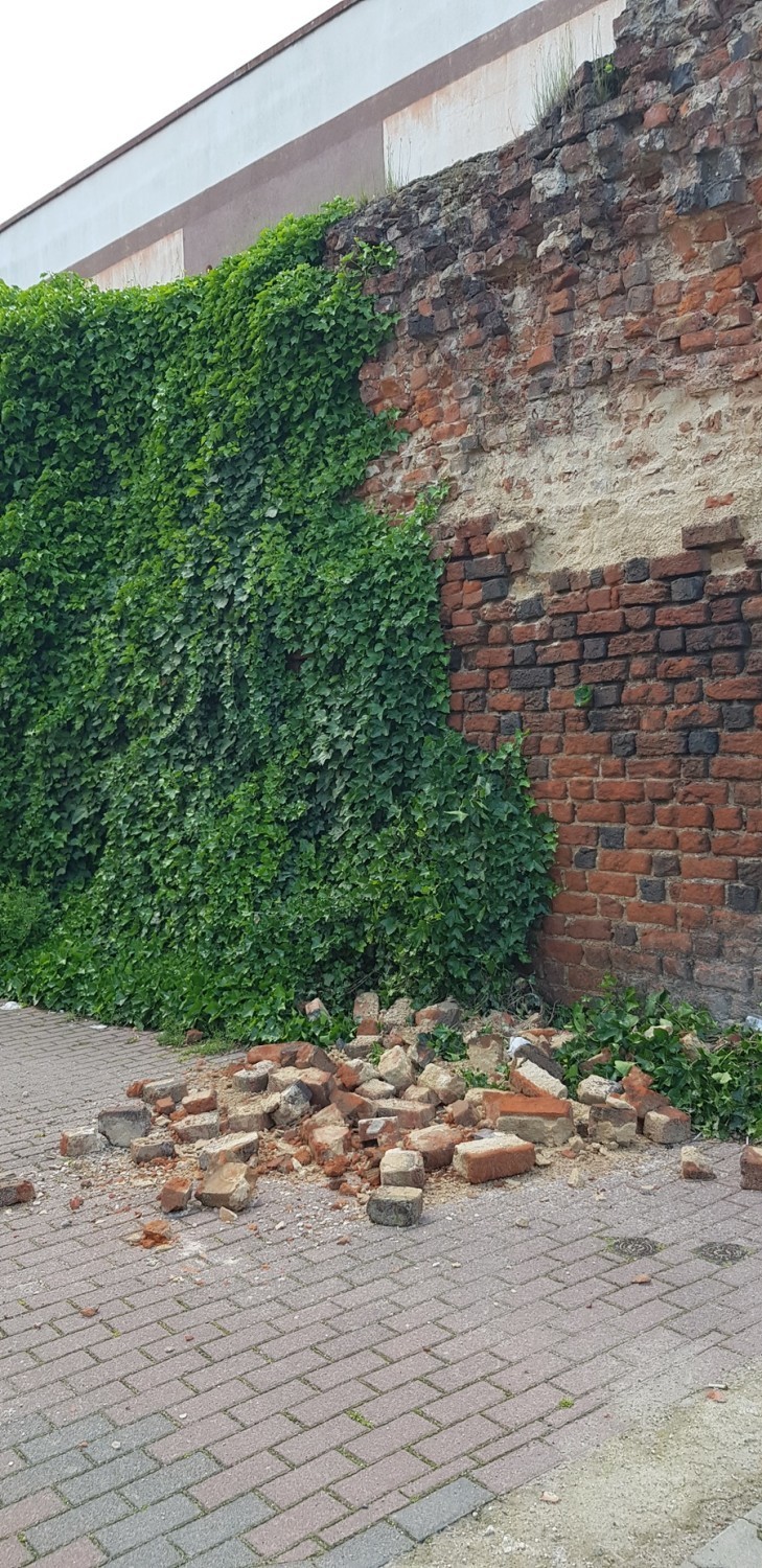 Mur obronny w Sycowie sypie się zarówno przy ulicy...