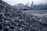 W Łowiczu ruszyła sprzedaż węgla w preferencyjnej cenie