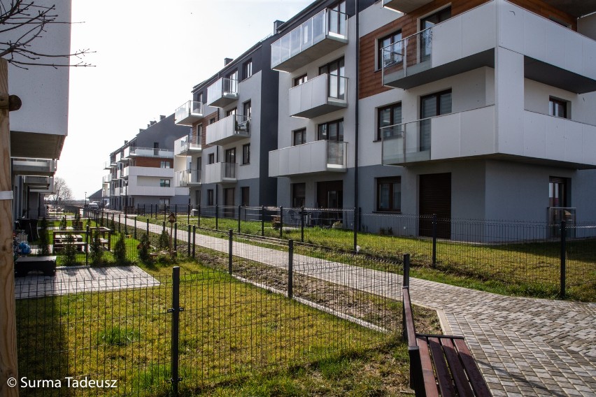 W obiektywie Tadeusza Surmy: tak wygląda nowe osiedle Orzechowe na osiedlu Pyrzyckim w Stargardzie 